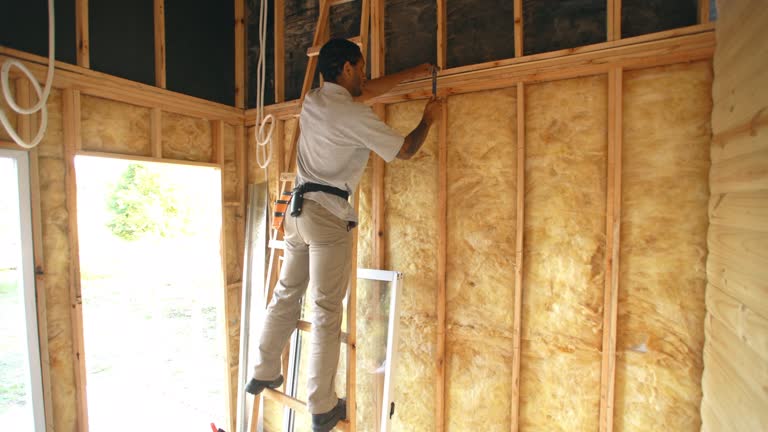 Professional Insulation in Montpelier, OH